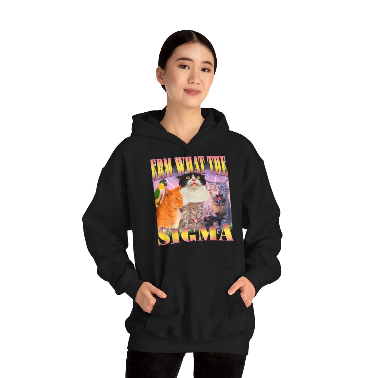 Hoodie unisexe drôle - Sweat-shirt ERM what the Sigma