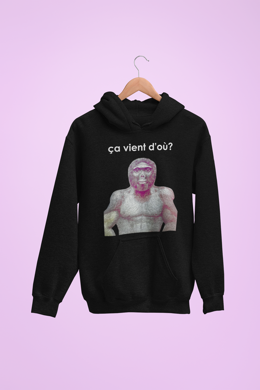 Hoodie unisexe drôle - Sweat-shirt graphique ça vient d'où