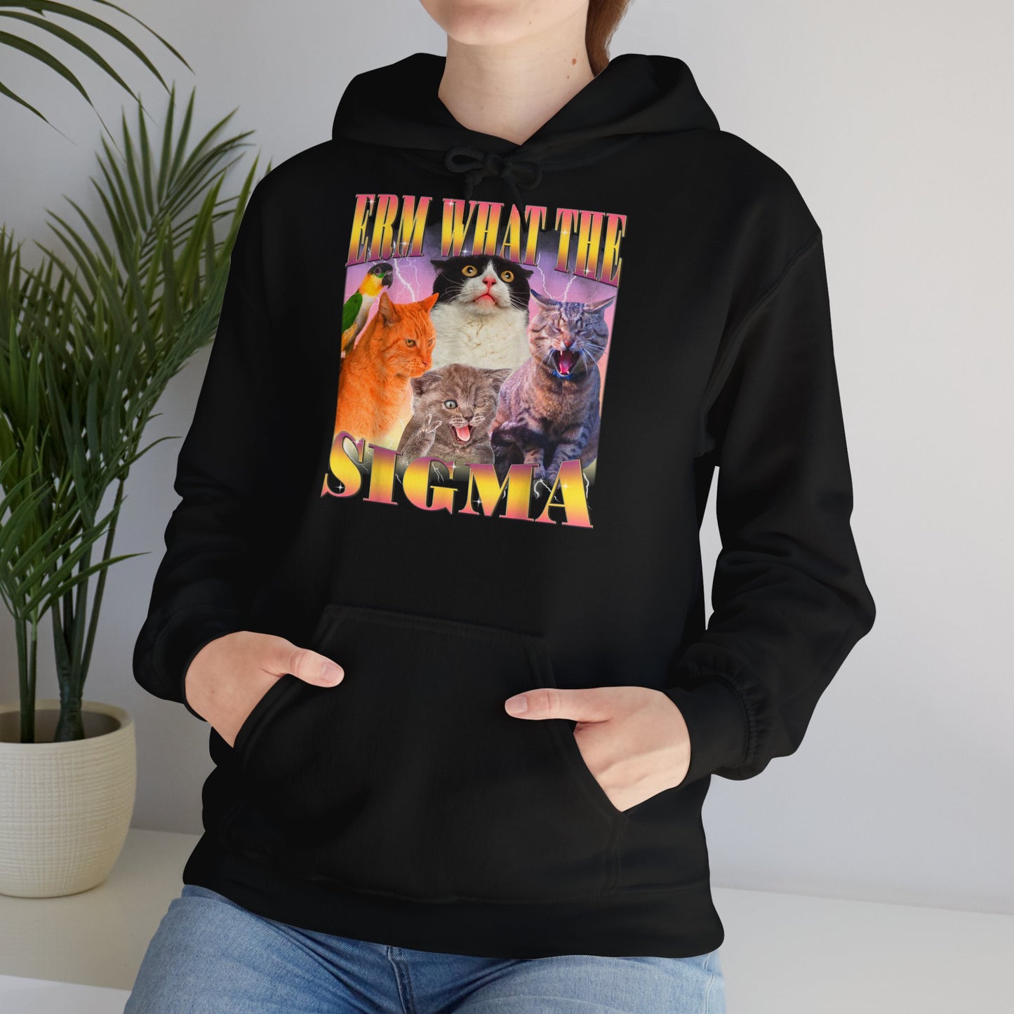 Hoodie unisexe drôle - Sweat-shirt ERM what the Sigma