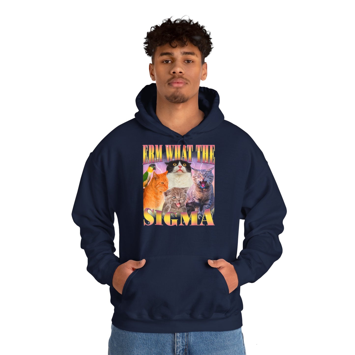 Hoodie unisexe drôle - Sweat-shirt ERM what the Sigma