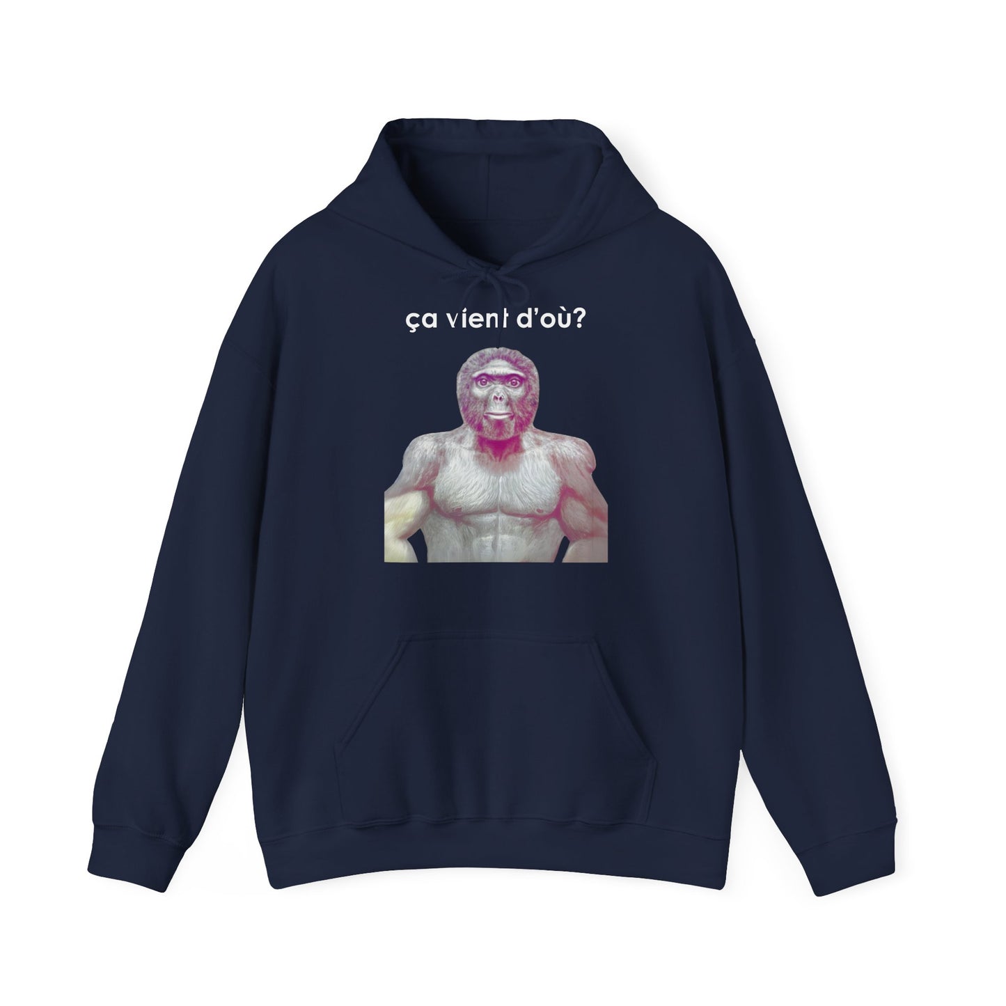 Hoodie unisexe drôle - Sweat-shirt graphique ça vient d'où