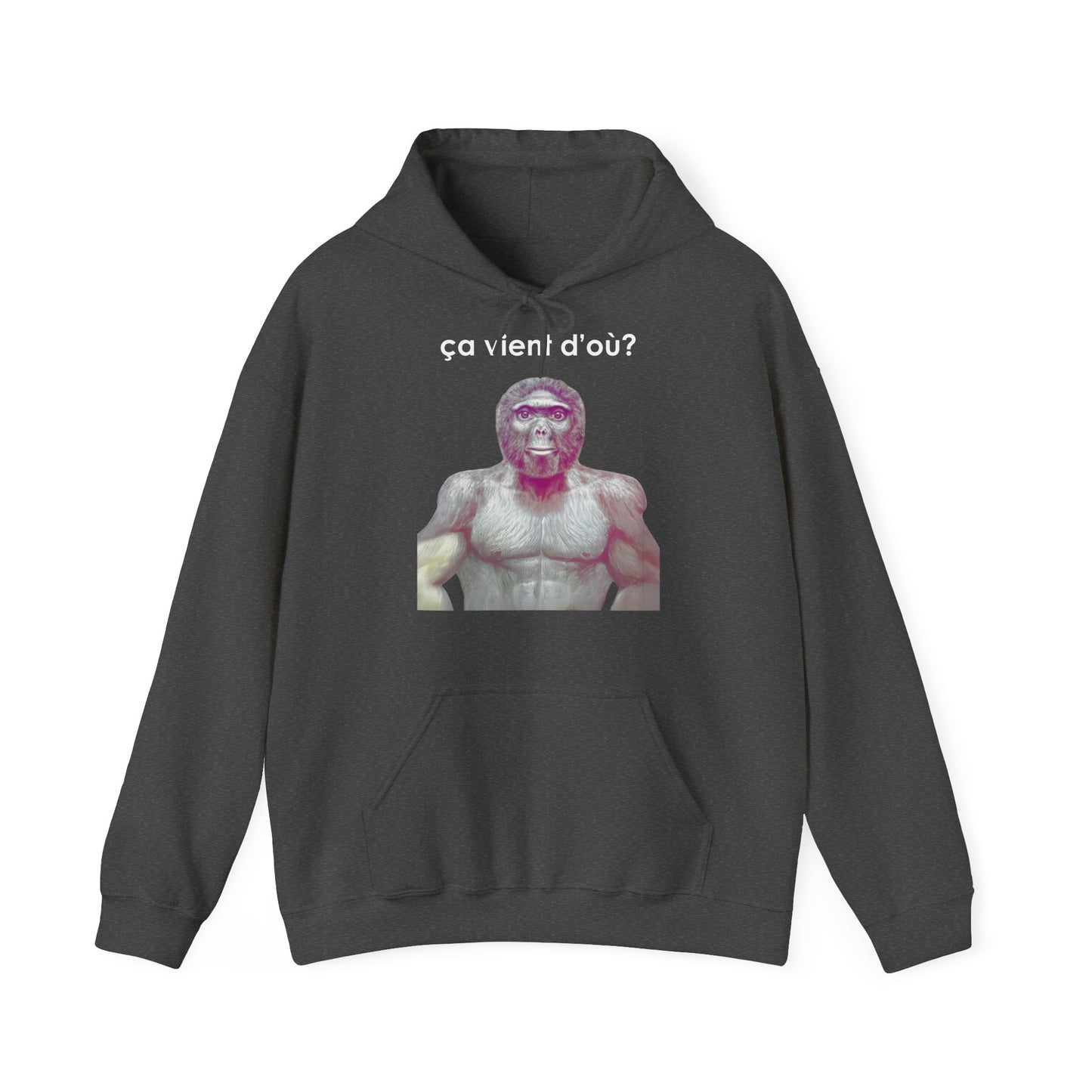 Hoodie unisexe drôle - Sweat-shirt graphique ça vient d'où
