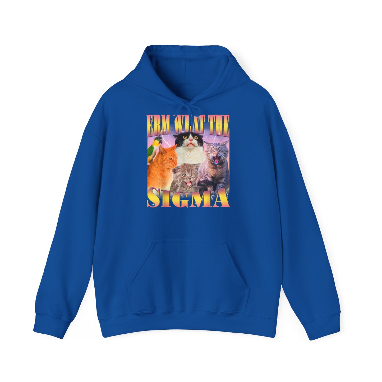 Hoodie unisexe drôle - Sweat-shirt ERM what the Sigma