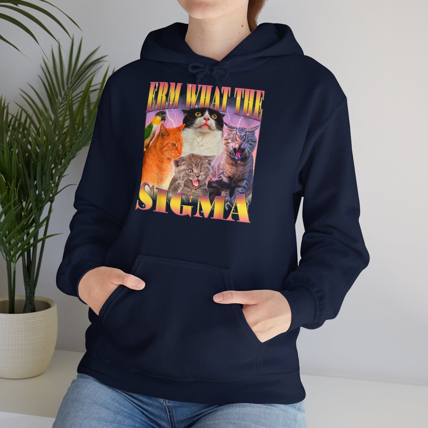 Hoodie unisexe drôle - Sweat-shirt ERM what the Sigma