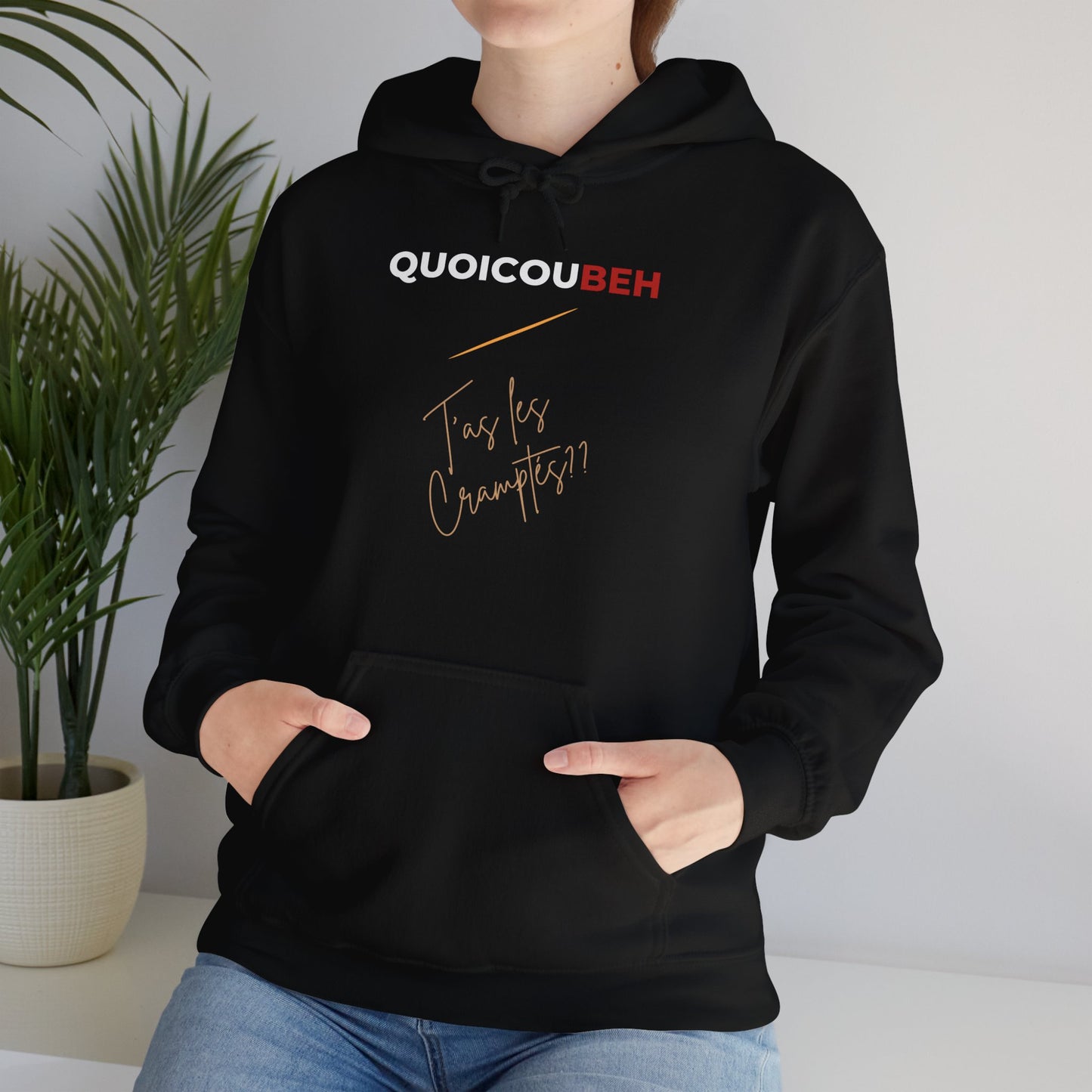 Hoodie unisexe drôle - Sweat-shirt graphique Quoicoubeh Apagnan