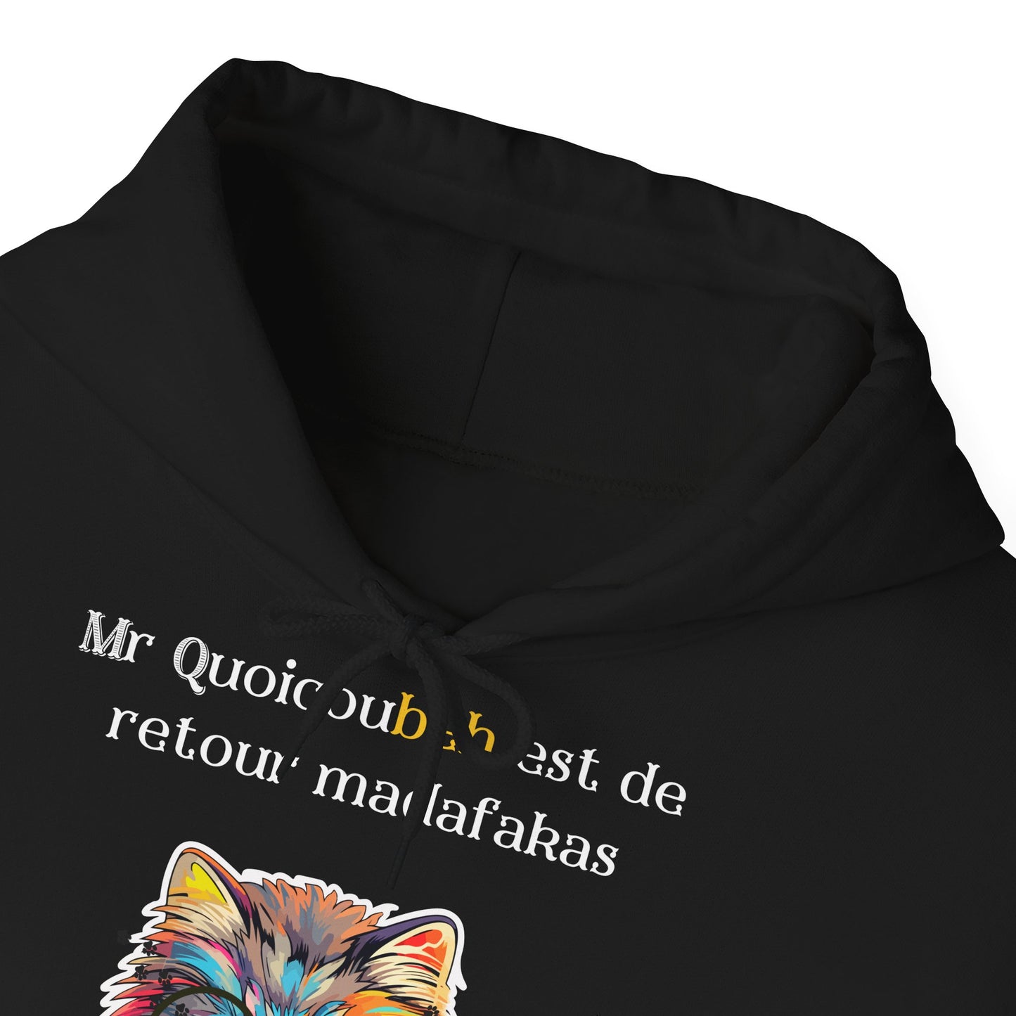 Hoodie unisexe drôle - Sweat-shirt graphique Quoicoubeh  Madafakas