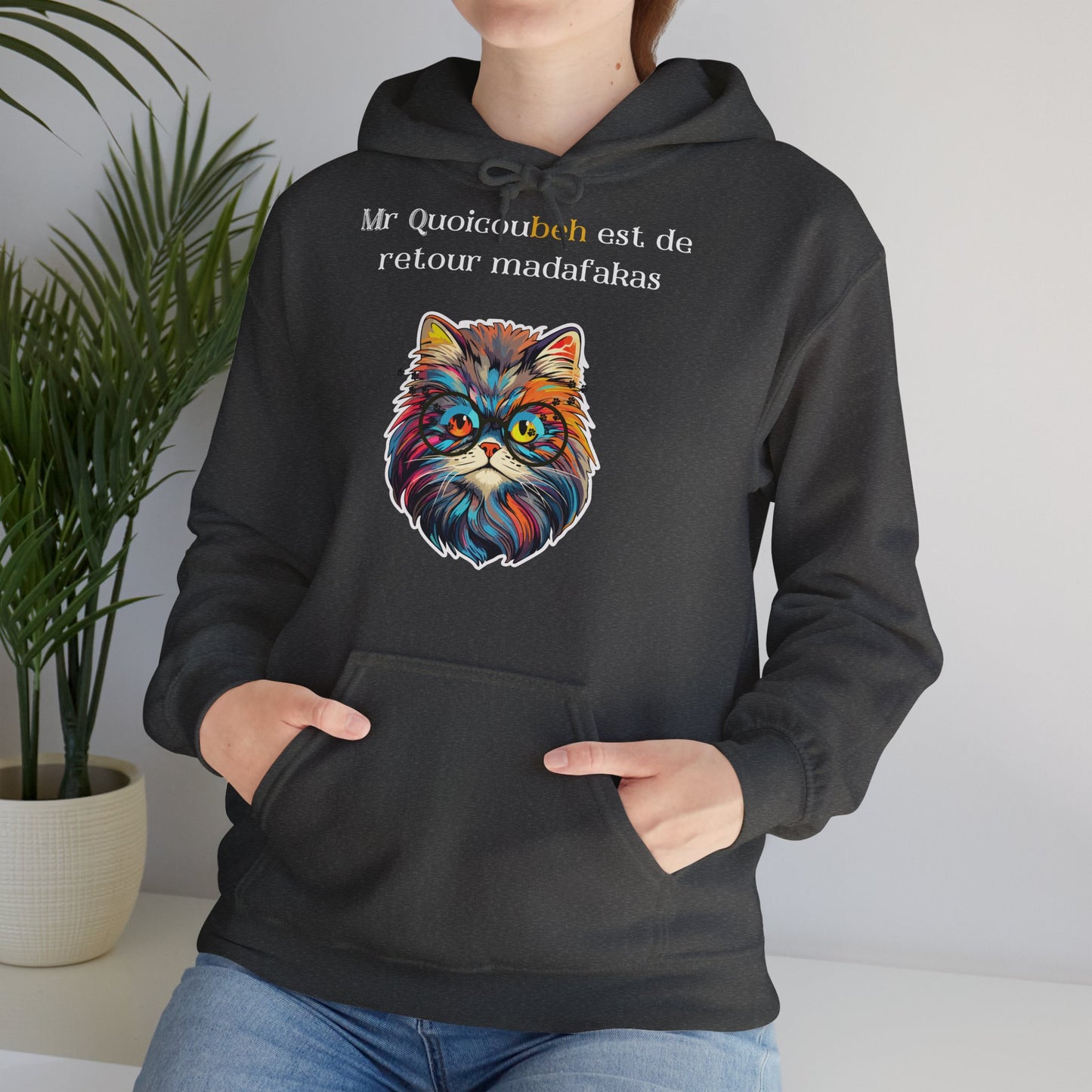 Hoodie unisexe drôle - Sweat-shirt graphique Quoicoubeh  Madafakas