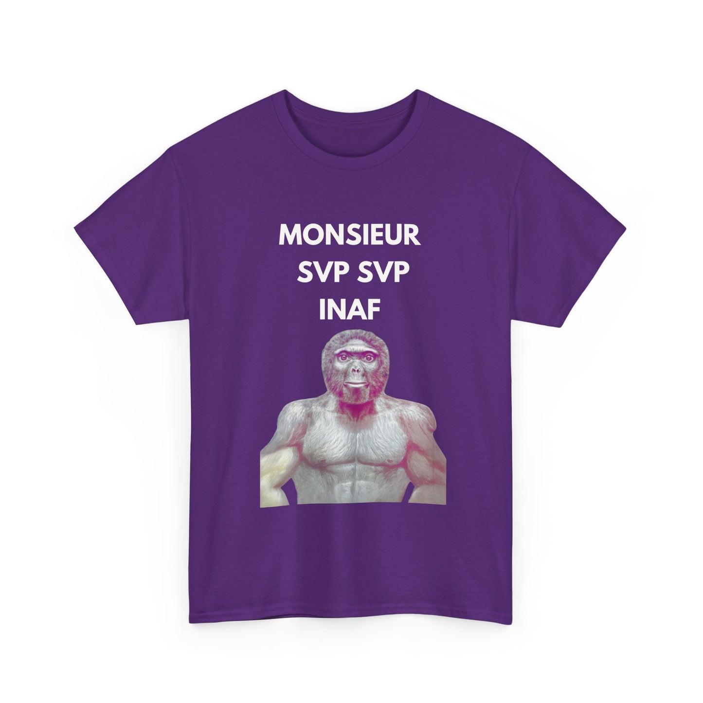 T-shirt humoristique unisexe en coton épais - Monsieur Svp Inaf