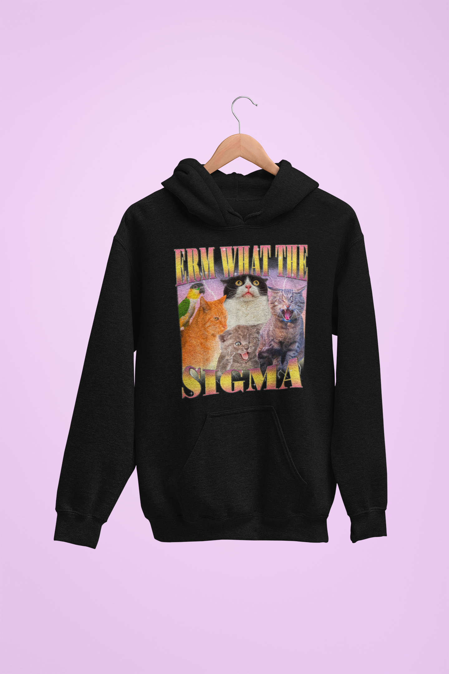 Hoodie unisexe drôle - Sweat-shirt ERM what the Sigma