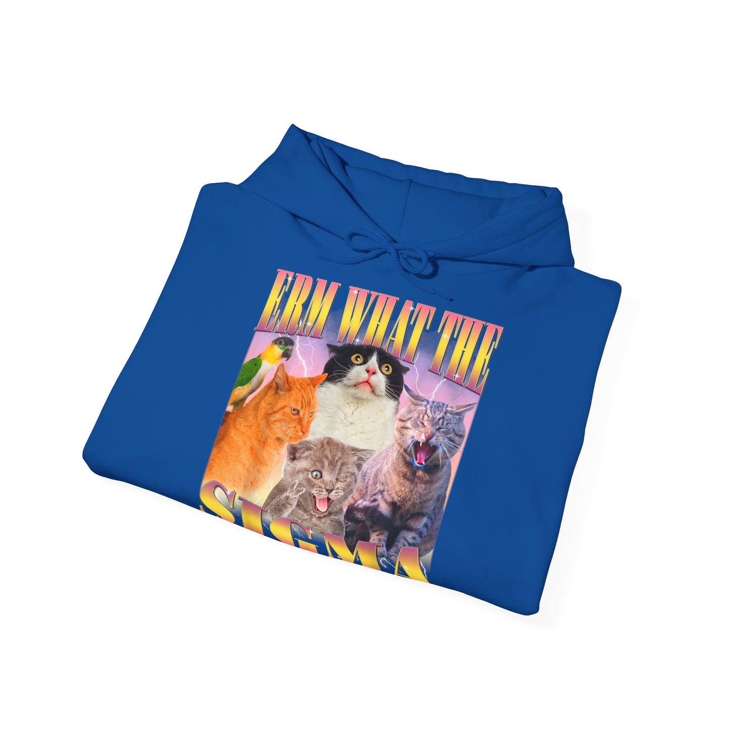 Hoodie unisexe drôle - Sweat-shirt ERM what the Sigma