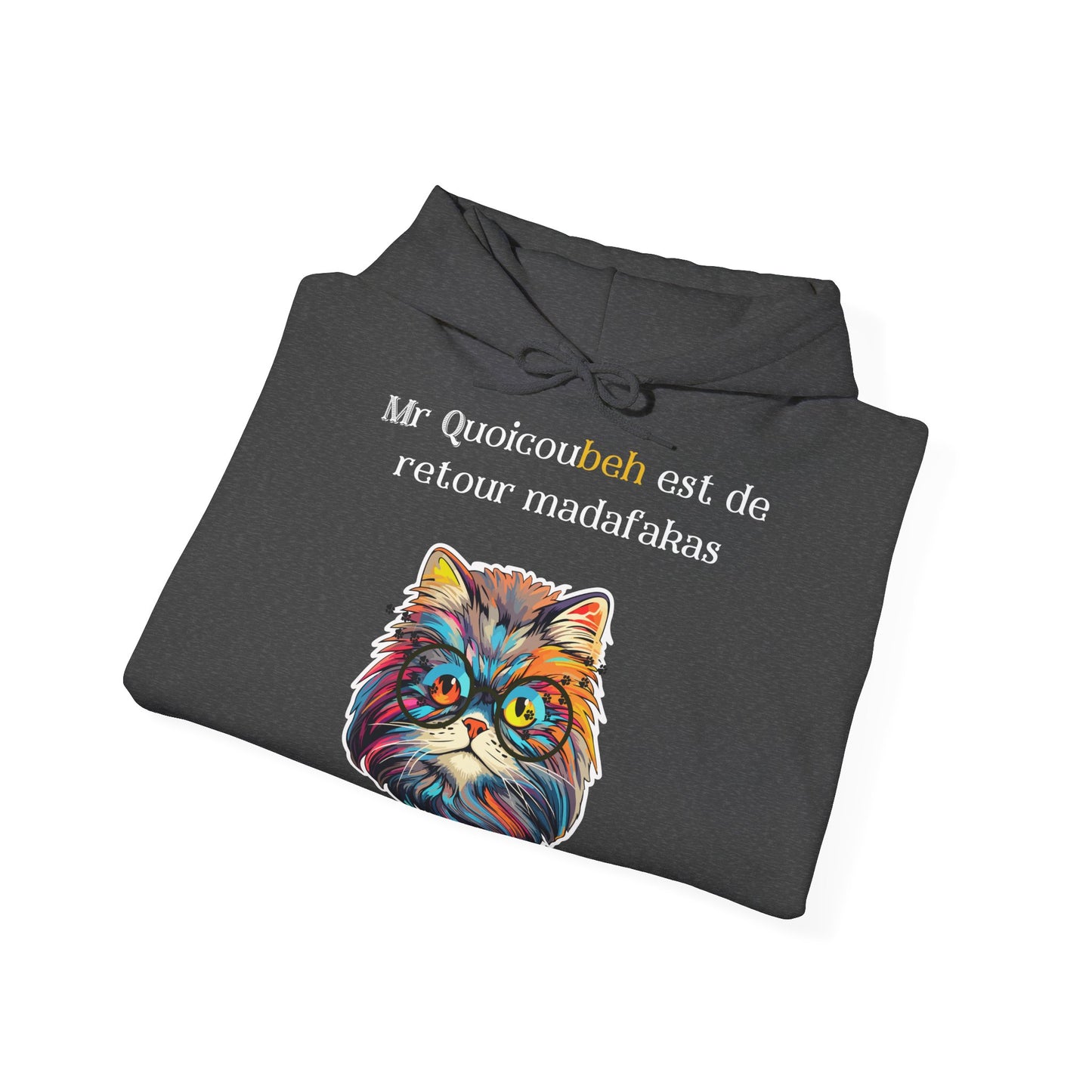Hoodie unisexe drôle - Sweat-shirt graphique Quoicoubeh  Madafakas