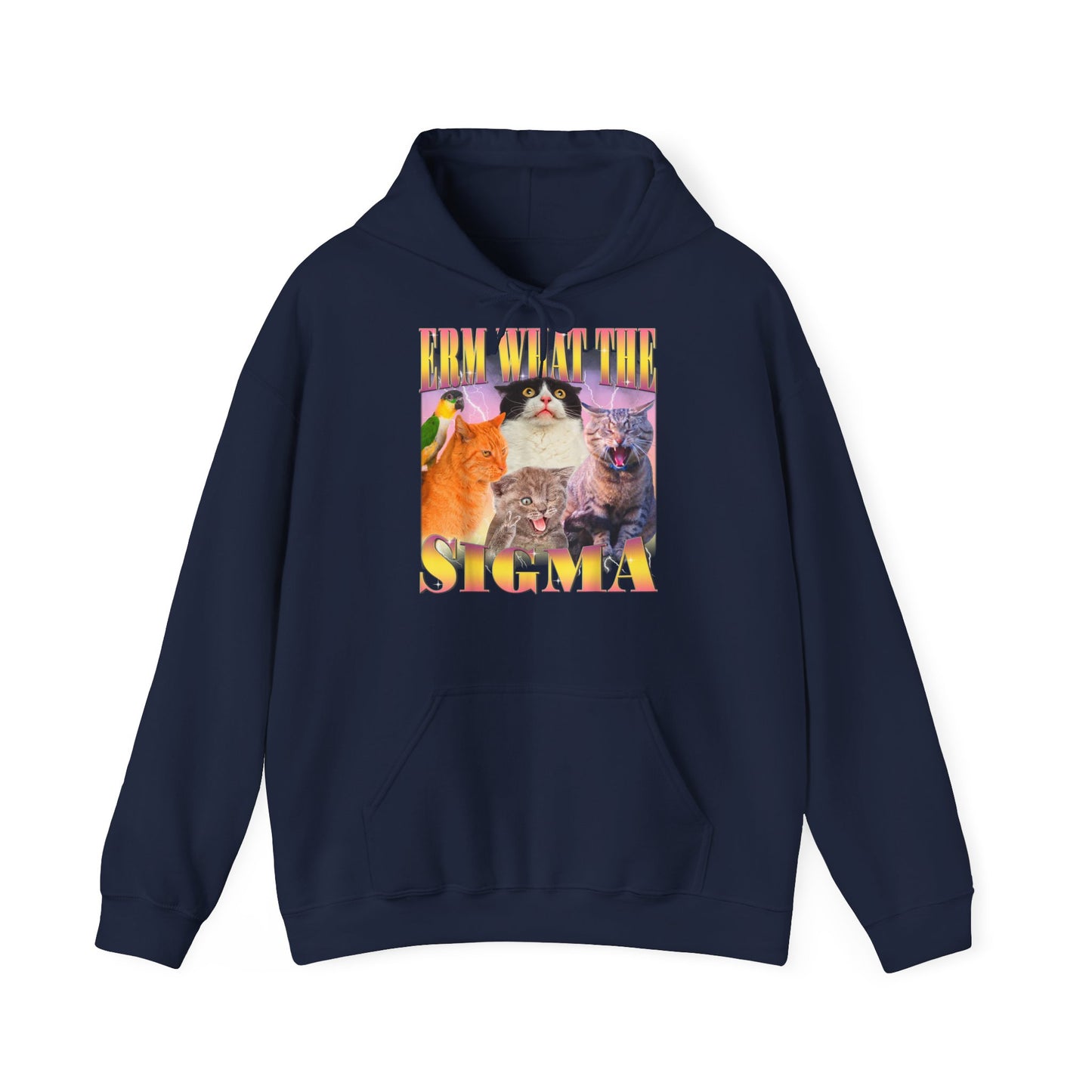 Hoodie unisexe drôle - Sweat-shirt ERM what the Sigma