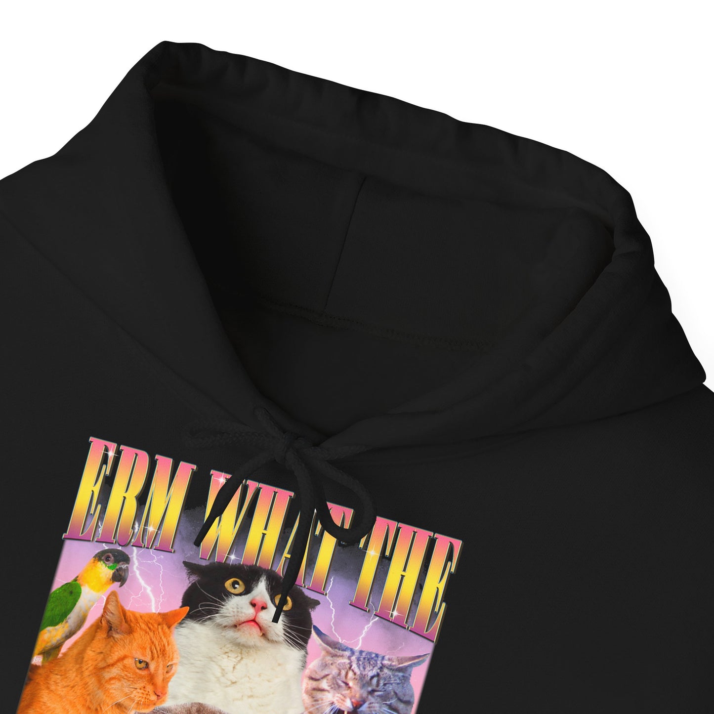 Hoodie unisexe drôle - Sweat-shirt ERM what the Sigma