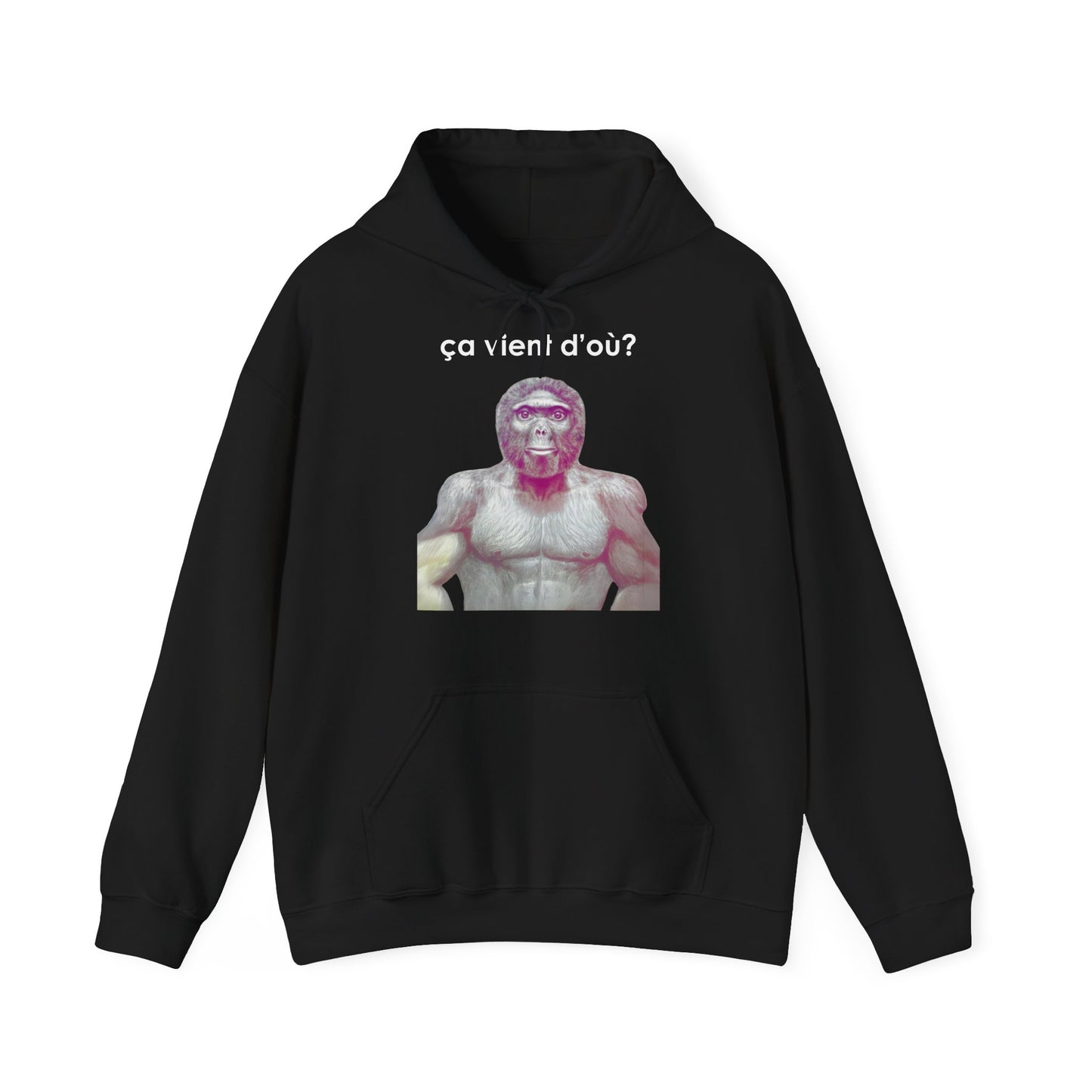 Hoodie unisexe drôle - Sweat-shirt graphique ça vient d'où