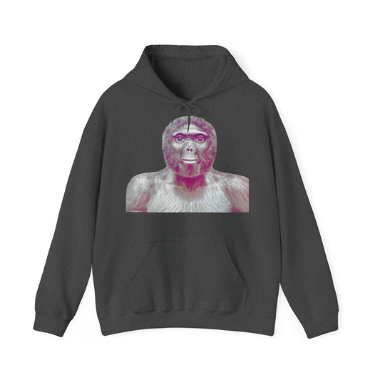 Hoodie unisexe drôle - Sweat-shirt graphique Allo Salam