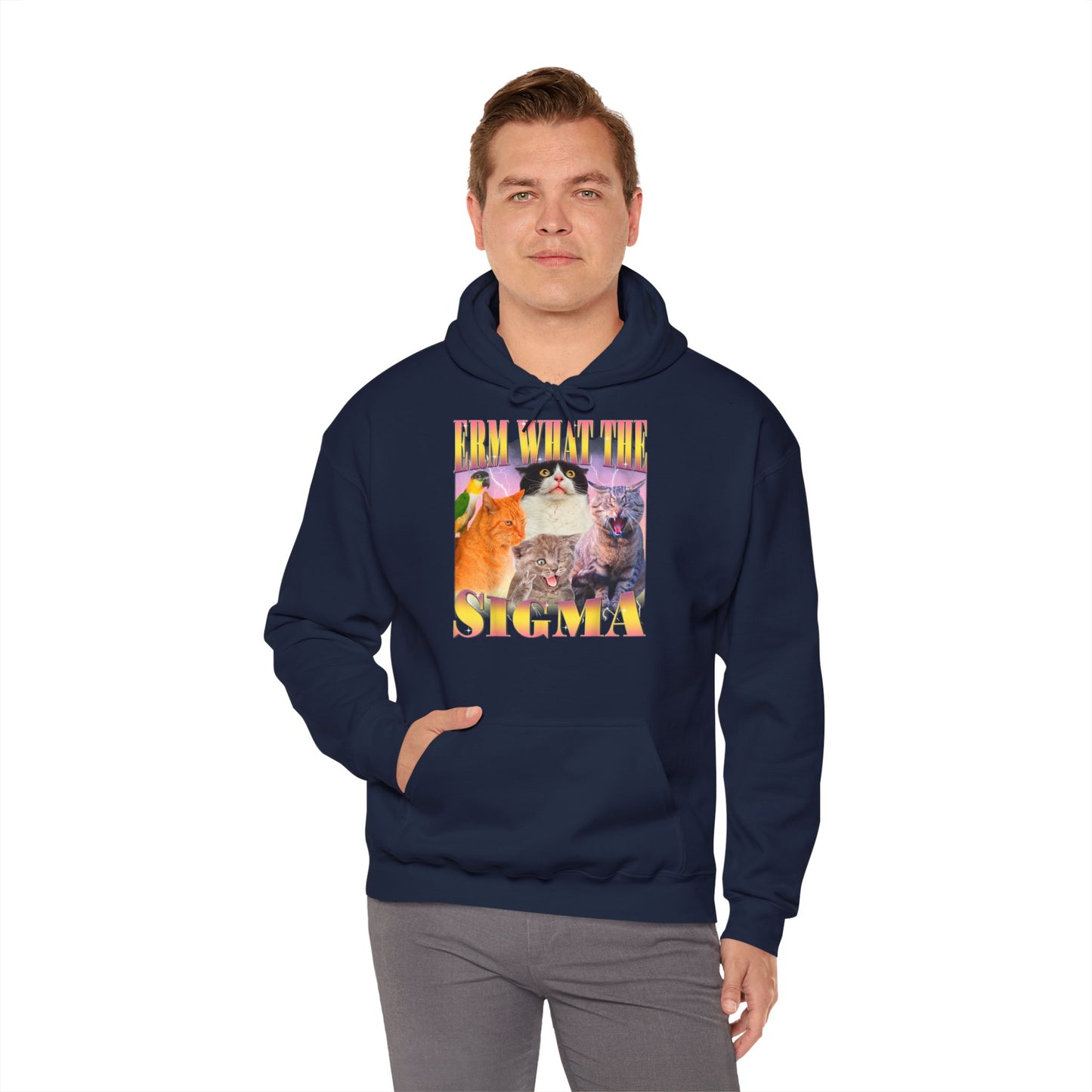 Hoodie unisexe drôle - Sweat-shirt ERM what the Sigma