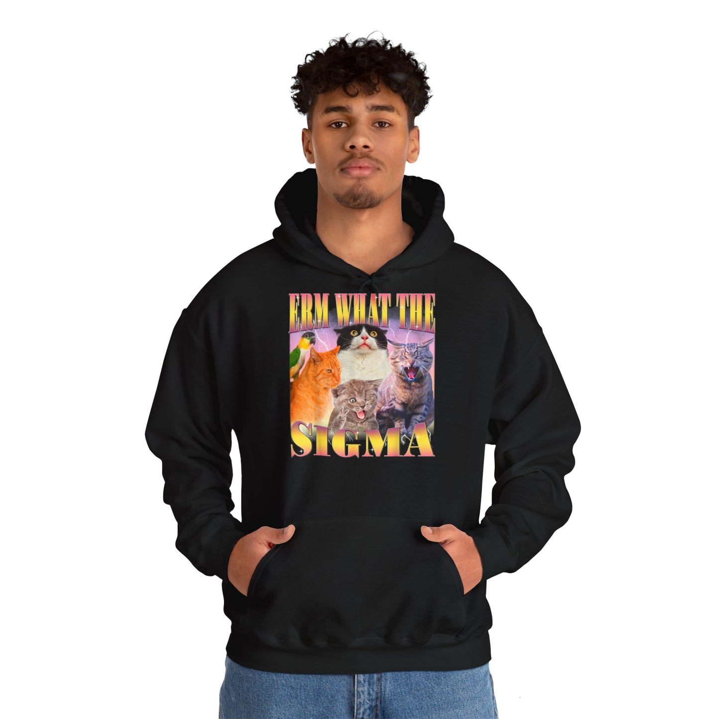 Hoodie unisexe drôle - Sweat-shirt ERM what the Sigma
