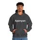 Hoodie unisexe drôle - Sweat-shirt graphique Quoicoubeh Apanyan