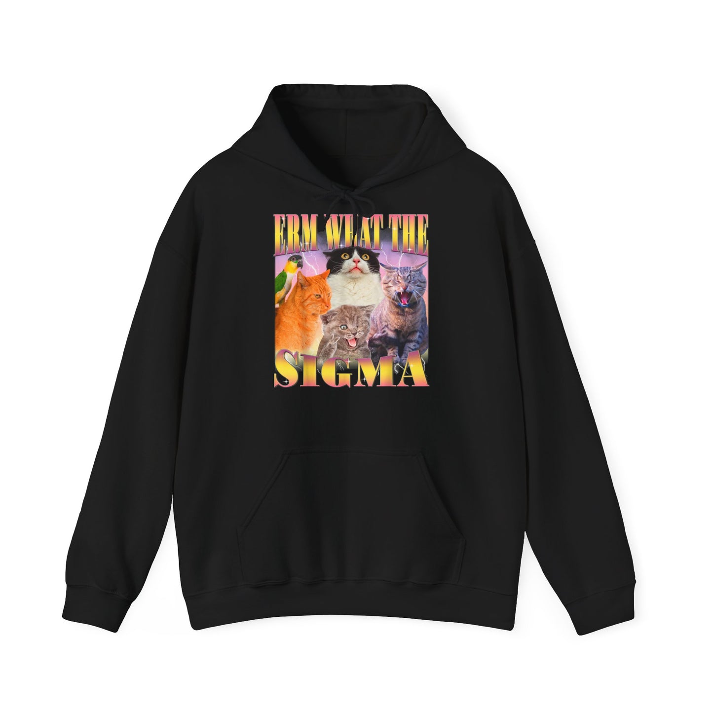 Hoodie unisexe drôle - Sweat-shirt ERM what the Sigma