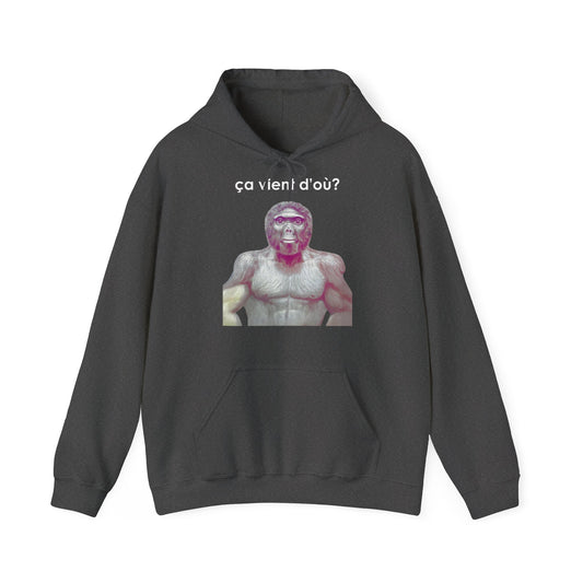 Hoodie unisexe drôle - Sweat-shirt graphique ça vient d'où