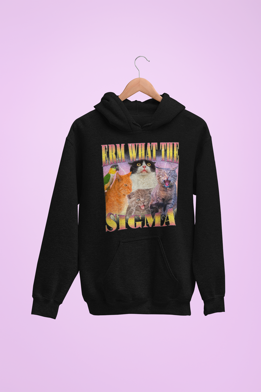 Hoodie unisexe drôle - Sweat-shirt ERM what the Sigma
