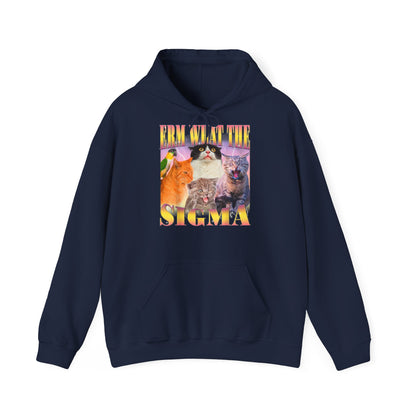 Hoodie unisexe drôle - Sweat-shirt ERM what the Sigma