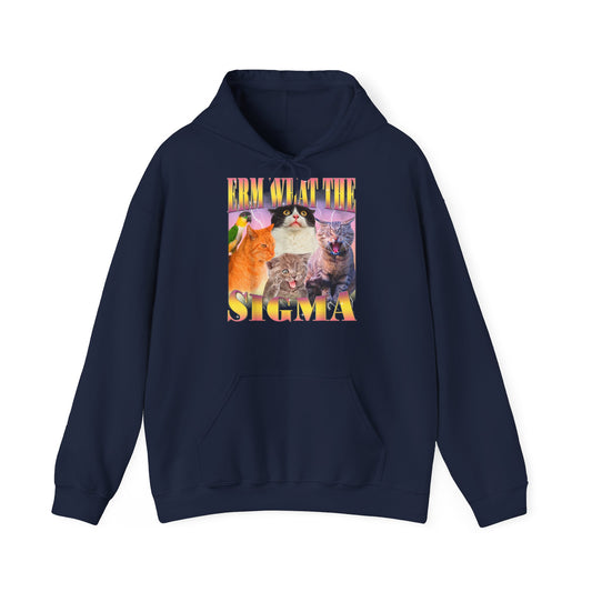 Hoodie unisexe drôle - Sweat-shirt ERM what the Sigma